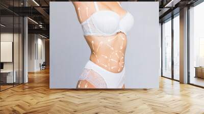 Cellulite is fat removal scheme body. White markings arrow young woman meter. Cosmetic breast surgery and belly. Wall mural