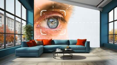 Eye monitoring and treatment in virtual verification in healthcare. Wall mural