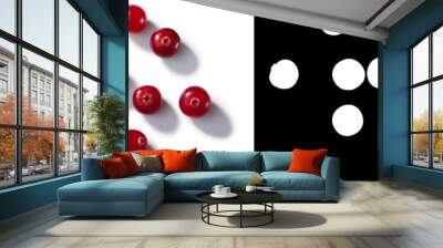 Cranberries V. oxycoccus, top, paths Wall mural