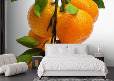 close up of tangerines with leaves isolated on white background Wall mural