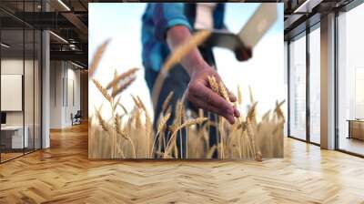 man farmer with digital tablet working in field smart farm in a field with wheat. agriculture concept. working in field harvesting crop. senior farmer sun is engaged in farm agriculture Wall mural