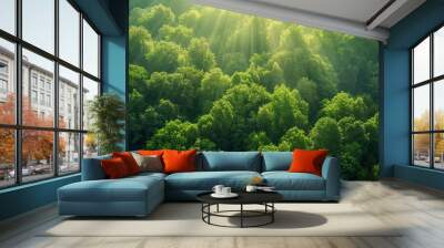 An aerial view of a lush green forest with sunlight filtering through the canopy, illustrating the rich biodiversity and organic growth of a natural ecosystem. Wall mural