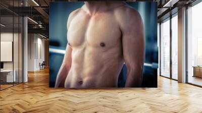 Close up of strong body of young muscular man Wall mural