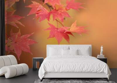 Happy fall autumn season for banner background. Wall mural