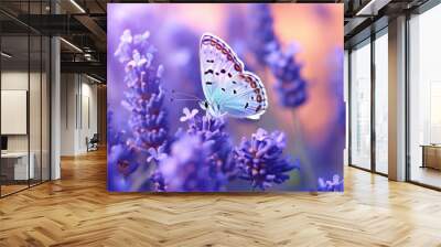 Closeup of wild beautiful butterfly on a flower in garden. Monarch butterfly collecting nectar from flower. Wall mural