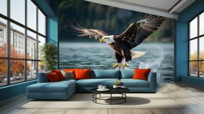 American bald eagle hunting at lake Wall mural