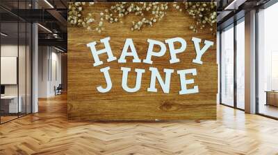 Happy June alphabet letter with space copy on wooden background Wall mural