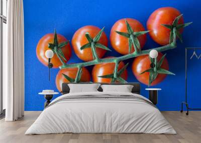 Fresh vegetables on a table. Top view photo of cherry tomatoes on blue textured background with copy space. Healthy eating concept.
 Wall mural