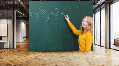 A girl at the blackboard in a mathematics class Wall mural