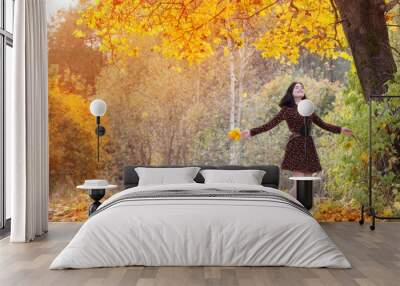 beautiful brunette girl in autumn park Wall mural