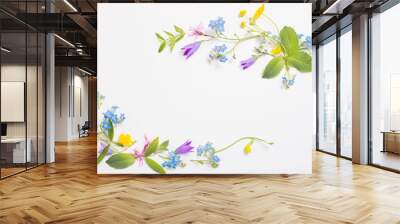 beautiful wild flowers on white background Wall mural