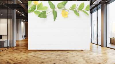 floral pattern with yellow buttercups on a white background Wall mural