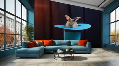 rabbit in  hat on blue background Wall mural