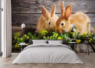 two rabbits on wooden background Wall mural