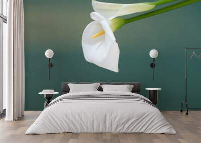 two white beautiful flowers on green background Wall mural