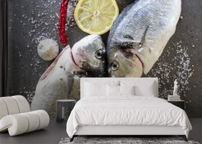 Sea bream dorado on gray textured background. Top view photo of two raw fishes, lemon slices,  chili peppers, garlic bulbs and sea salt.  Balanced diet concept.  Wall mural