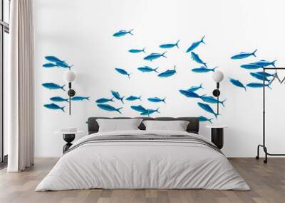 shool of blue tropical striped fish in the ocean isolated on white background. caesio striata (stria Wall mural