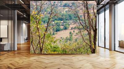 Close view of couple of trees with landscape view of indian field from the top of a rocky mountain.  Wall mural