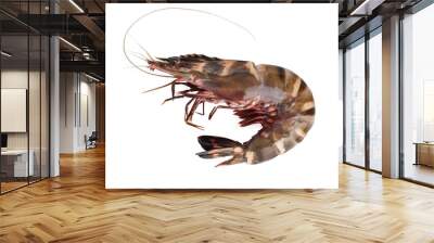 Closeup image of raw tiger prawn isolated at white background. Wall mural