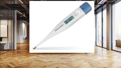 electronic thermometer Wall mural