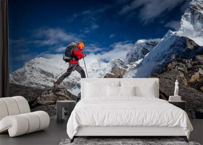 Hiker on the trek in Himalayas, Khumbu valley, Nepal Wall mural