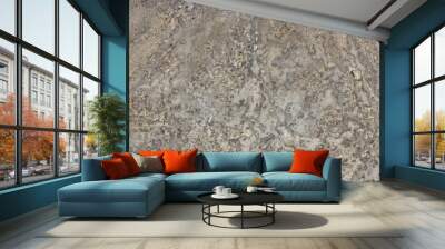 Grey marble stone background. Grey marble,quartz texture backdrop. Wall and panel marble natural pattern for architecture and interior design or abstract background. Wall mural