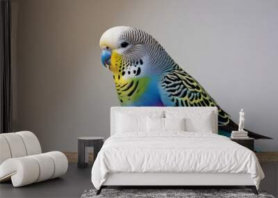 Rainbow budgie perched on a branch. Wall mural