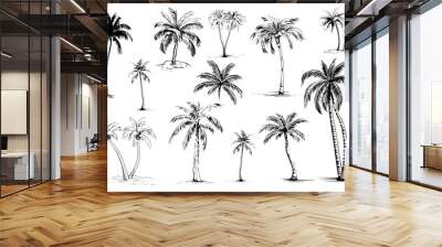 Hand drawn coconut palm tree illustrations on a white background, capturing intricate details of these iconic trees Wall mural