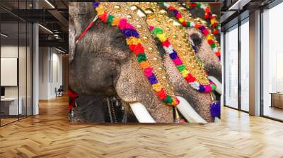 Decorated elephants at temple festival in Siva temple, Ernakulam, Kerala, India Wall mural