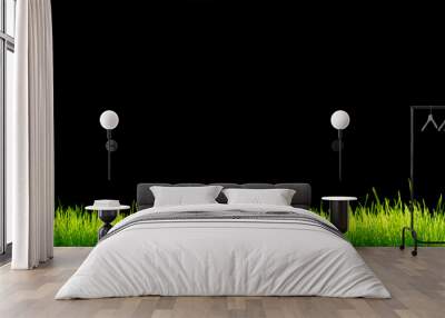 Green vibrant grass over black background Wall mural