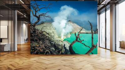 Sunrise at Kawah Ijen, panoramic view, Indonesia Wall mural