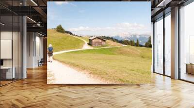 St. Magdalena, Italy - August 2, 2015: Boy take an excursion to the base of the Dolomites Wall mural