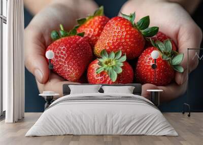 Close-up of hands holding a handful of ripe red strawberries. Wall mural