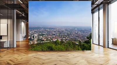 City landscape with trees in foreground on a sunny day Wall mural