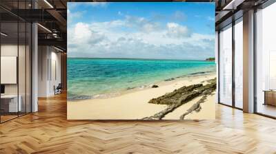 Mystery Island, Vanuatu, beach, with glass bottom tour boat close to shore  Wall mural