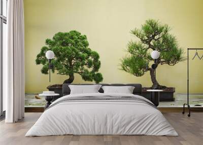 Bonsai Tree Wall mural