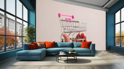 young man shopping online with phone and credit card in his hand Wall mural