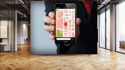 gps businessman smartphone Wall mural