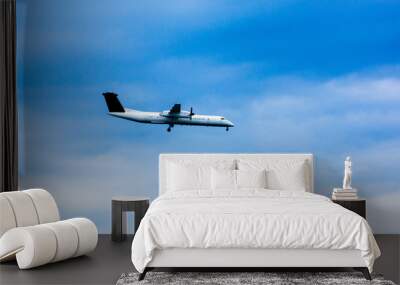 Airplane landing in blue sky background   Wall mural