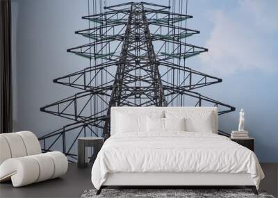 Close up of Electric Transmission Tower Wall mural