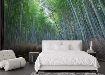 Path of bamboo forest Arashiyama, kyoto Japan Wall mural