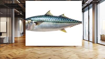 mackerel-full-body-white-background Wall mural