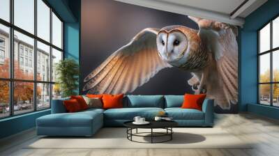 Common Barn Owl Wall mural