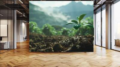 Green plant sprouts from the ground, surrounded by rich soil and bathed in sunlight with distant mountains in soft focus. Climate change new growth Wall mural