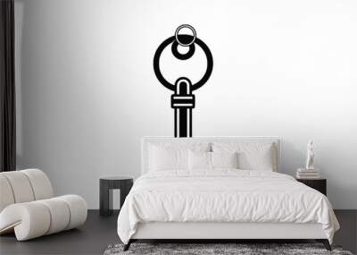 key icon flat vector illustration. Wall mural