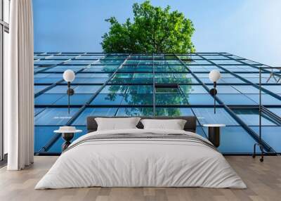 Modern office building with glass facade and green tree. Wall mural