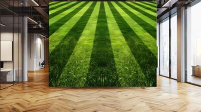 Striped Green Grass Field Background Wall mural