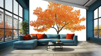 autumn tree photo on white background Wall mural