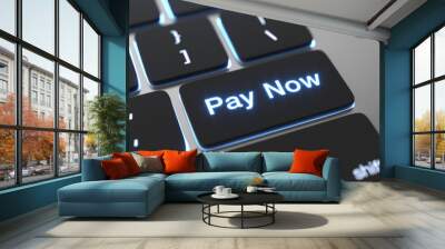 Pay online concept Wall mural