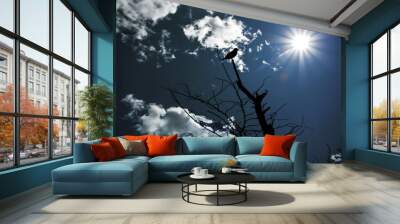 silhouette of a tree Wall mural